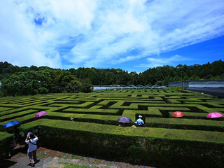 现代农业产业园
【大力发展都市现代农业】稳定粮食种植面积,拓展引粮入
榕渠道。积极发展设施农业、节水农业、循环农业、休闲观光农业。
【详细】
【抓好工业园区提升和龙头项目建设】推进数字福建产业园、中科数据产业园等新兴
产业园区建设,打造各具特色与优势的产业集聚平台。
【详细】
【强化创新驱动与品牌带动】全面加强机械、纺织、食品、冶金、建陶、工艺品等传
统产业的技术改造。【详细】
【提高服务业发展水平】扎实推进海峡金融商务区、闽江北岸中央商务区建设,认真
抓好鼓楼区国家服务业综合改革试点。
【详细】
【推进“海上福州”建设】加快闽台(福州)蓝色经济产业园建设步伐,发展壮大“蓝
色产业”。进一步拓展福州港经济腹地。稳妥有序推进罗源湾养殖退养。
【详细】