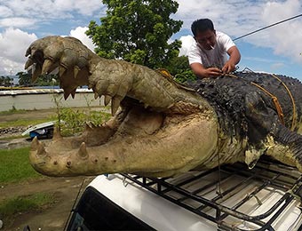 巨型机器鳄鱼亮相菲律宾