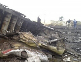 MH17ͻ˿245˹ѵȷ