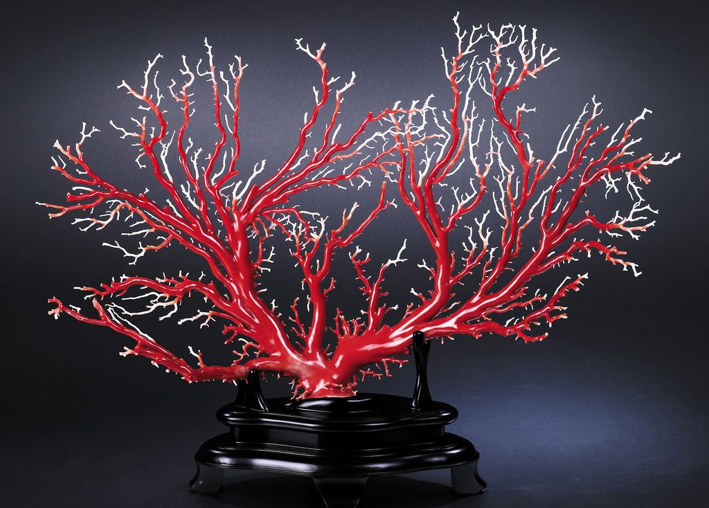 紅珊瑚：紅珊瑚屬有機寶石，色澤喜人，質地瑩潤，與珍珠、琥珀並列為三大有機寶石，在東方佛典中亦被列為七寶之一，自古即被視為富貴祥瑞之物。