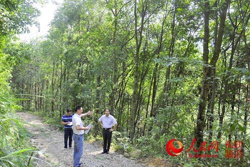 福建省启动国有林场改革 维护生态安全创新经