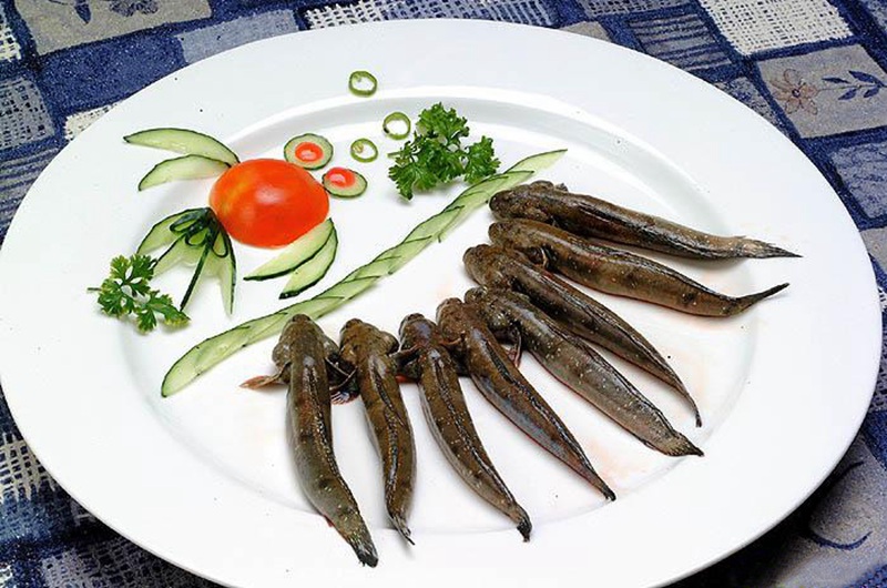 宁德弹涂鱼--福建频道--人民网