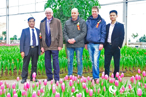 ��������������̩�����㡱������չ ��������ʹ�������к�����