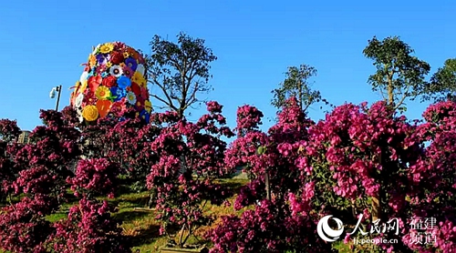 ��ͼ���󰲻�����չ��԰��ҵ ������ľ�����ģΪ����֮��