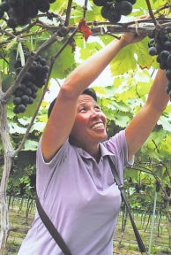 许光园2000年，许光园被推选为五一村妇代会主任，上任后先抓村里文体活动，同时也在寻找妇代会创收的机遇。2002年，她以妇代会的名义，带领全村妇女姐妹们承包村里的柑橘地。[详细] 