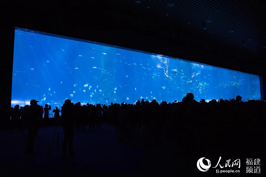 海洋世界美不胜收