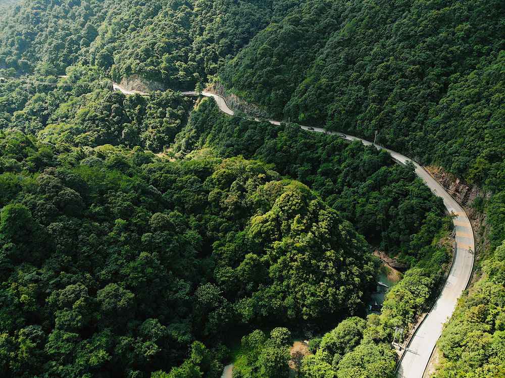 山間路彎彎 柯婧穎攝