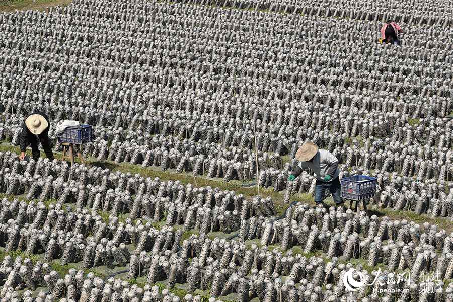 ������������ũ���ڲ��潡�Ƽ�����Աʾ�����ز�ժ��ľ��������Ȫ