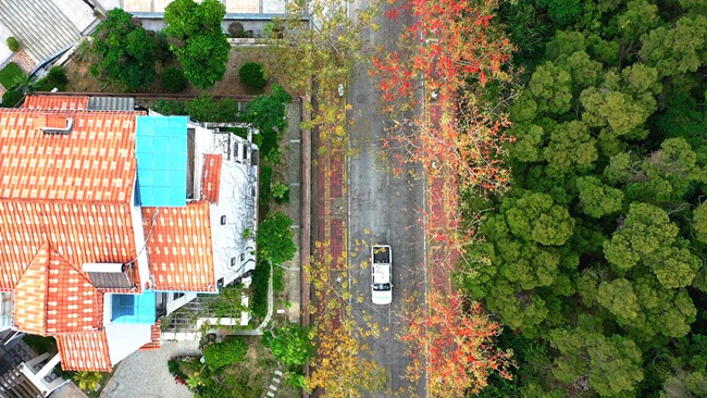 春路雨添花，花動一城春色。康藝勇航拍