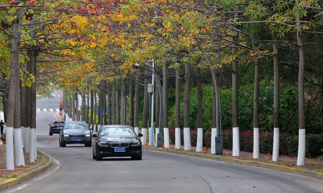 �������£������ݿ�����̫��·�ϣ�ľ�޻�������·�������˴�ȥ���á�ʩ������