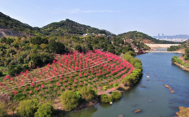 �������������š�ʩ���ݺ���