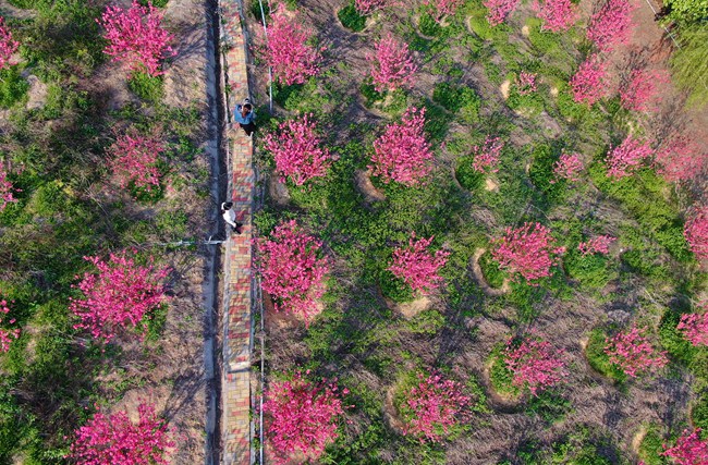 ��������������֮�䡣ʩ���ݺ���