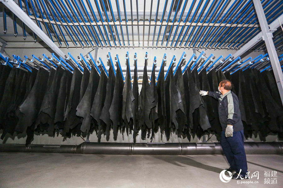 2月21日，福建晉江興業皮革公司，工人在整理生產線上的皮革。 董嚴軍攝