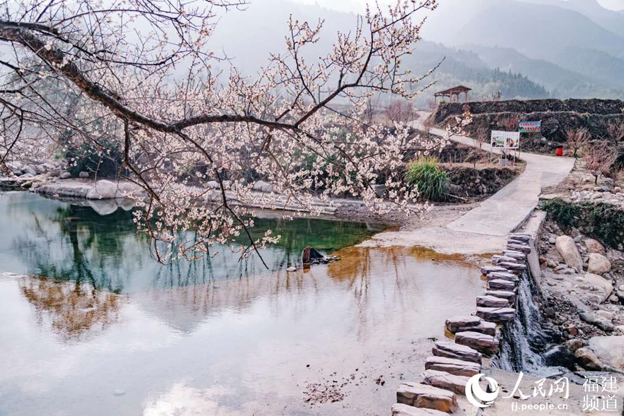 福建建寧：高峰村的生態新生活 陳曉星攝