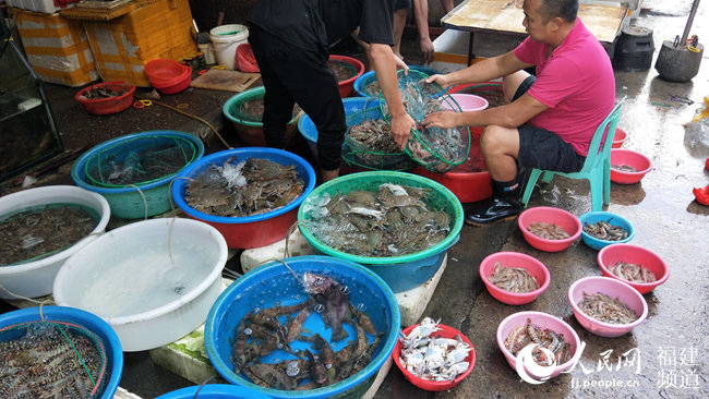厦门第八市场的海鲜摊主坐在路边分拣刚回港的海鲜。人民网 陈博摄