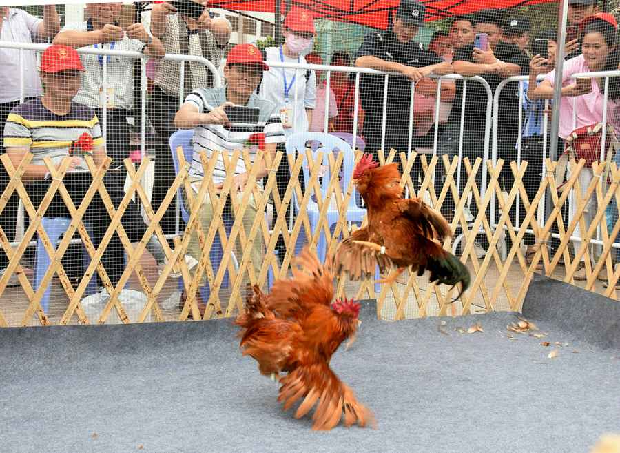 ƽطսڶֳı