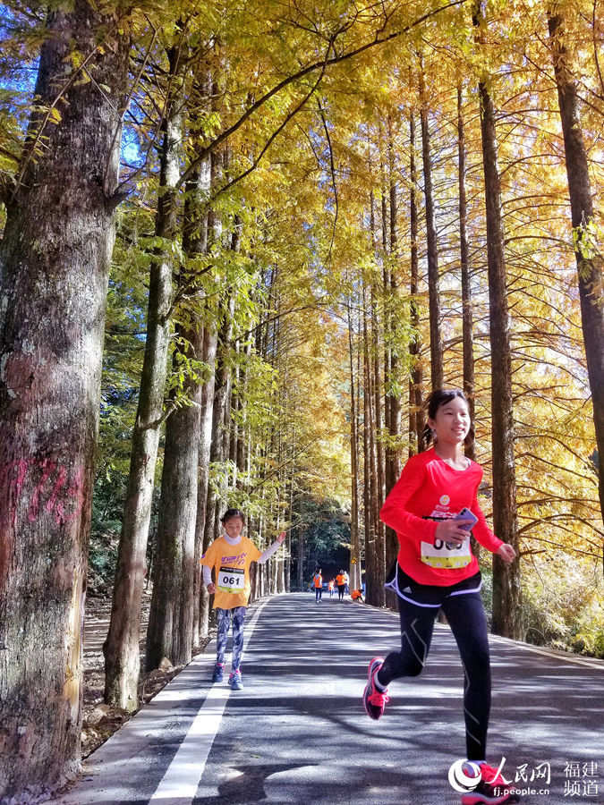 孩子們奔跑在水杉大道。人民網 余杉芳攝