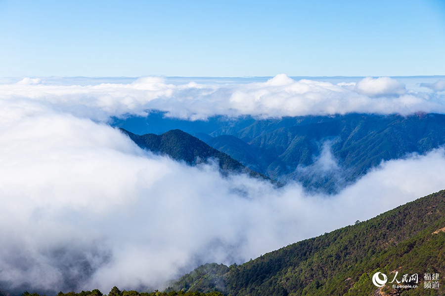 武夷主峰黃崗山雲霧繚繞，美若仙境。人民網 焦艷攝