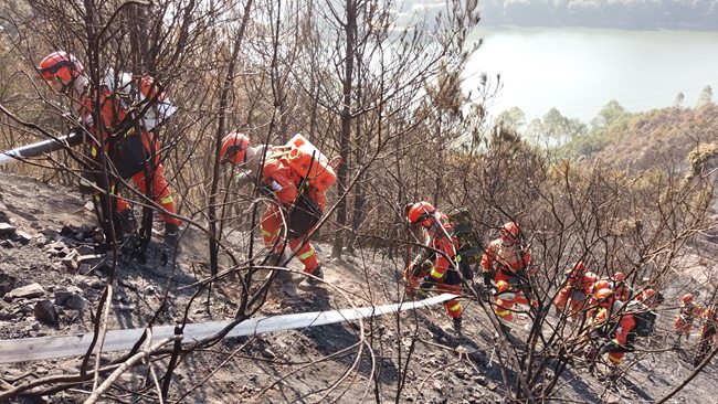 常規機具組配合水泵組對火線實施扑打。福建森林消防總隊廣東肇慶駐防分隊供圖