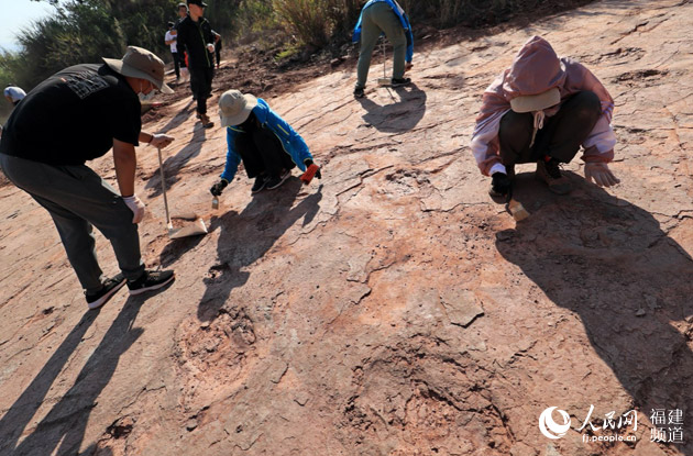 福建龍岩市上杭縣臨城鎮發現大規模晚白堊世恐龍足跡群化石