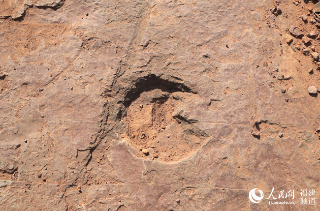 福建龙岩市上杭县临城镇发现大规模晚白垩世恐龙足迹群化石