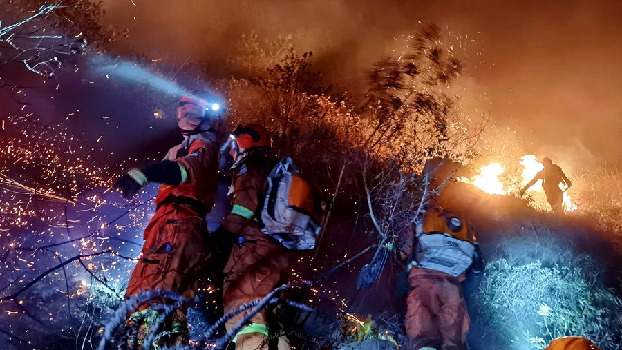 小组展开扑救。龙岩市森林消防支队供图