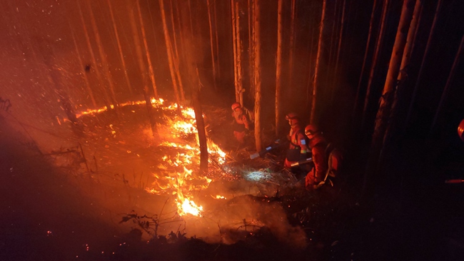 福建省森林消防總隊廣東肇慶駐防分隊班組在扑打地表火。陳杰攝