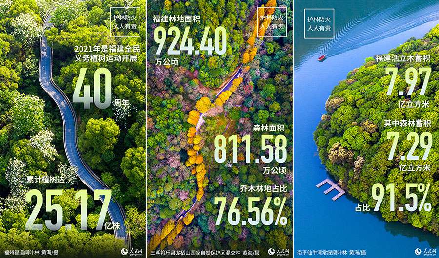 “中國最綠”省份如此多嬌。人民網 焦艷制圖
