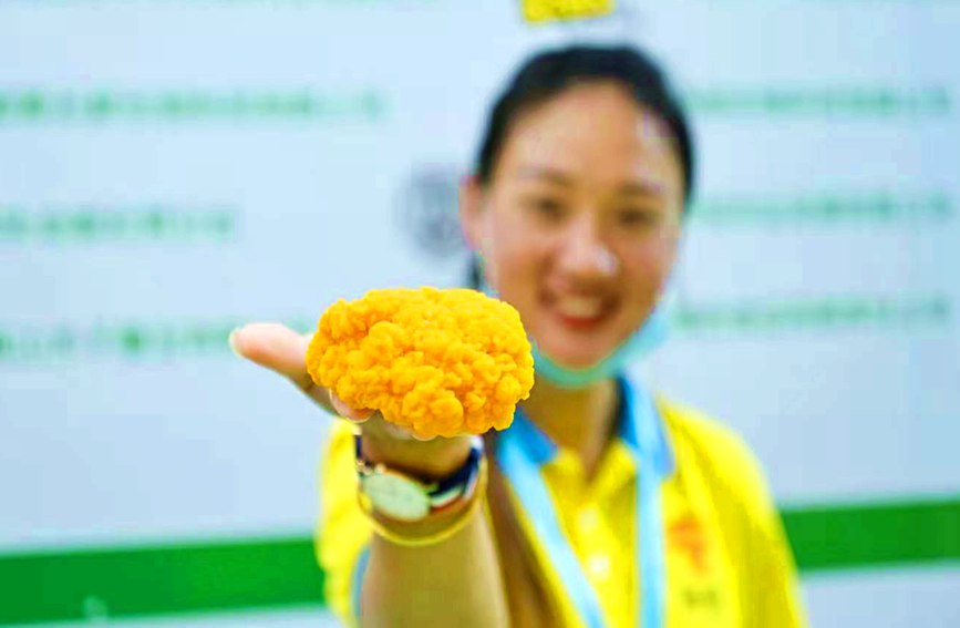 第二届中国食用菌产业博览会在福州举行。主办方供图