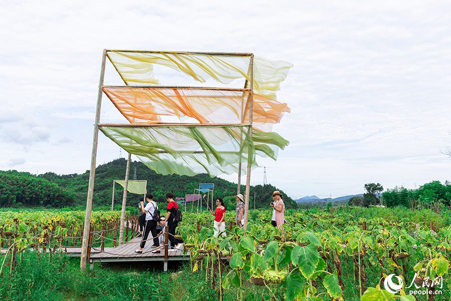 农作物废料变身“植染艺术品”,把福建这个乡村装扮成艺术馆!