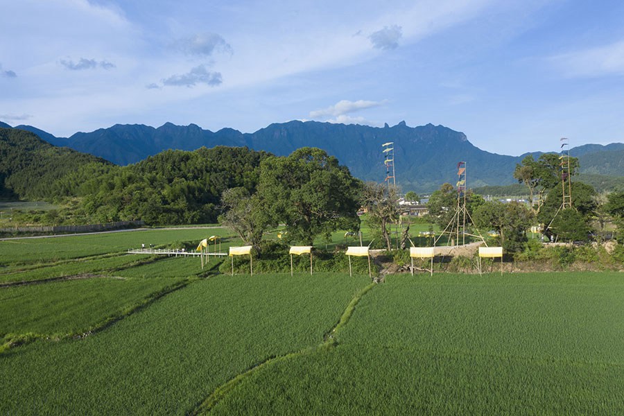 农作物废料变身“植染艺术品”,把福建这个乡村装扮成艺术馆!