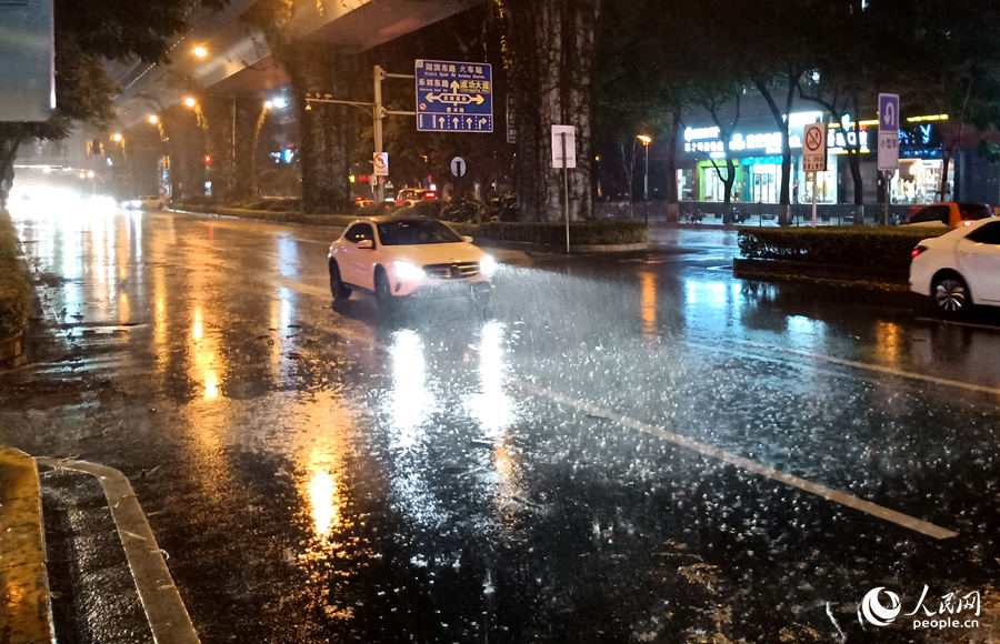 暴雨中的廈門市廈禾路。人民網 陳博攝