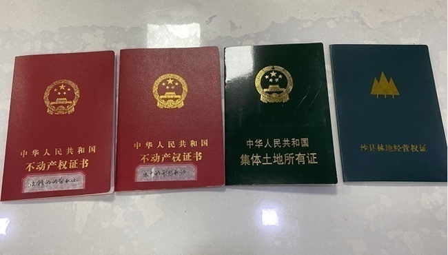 沙县农村产权交易中心展示的新旧版本林权证。王��欣 摄