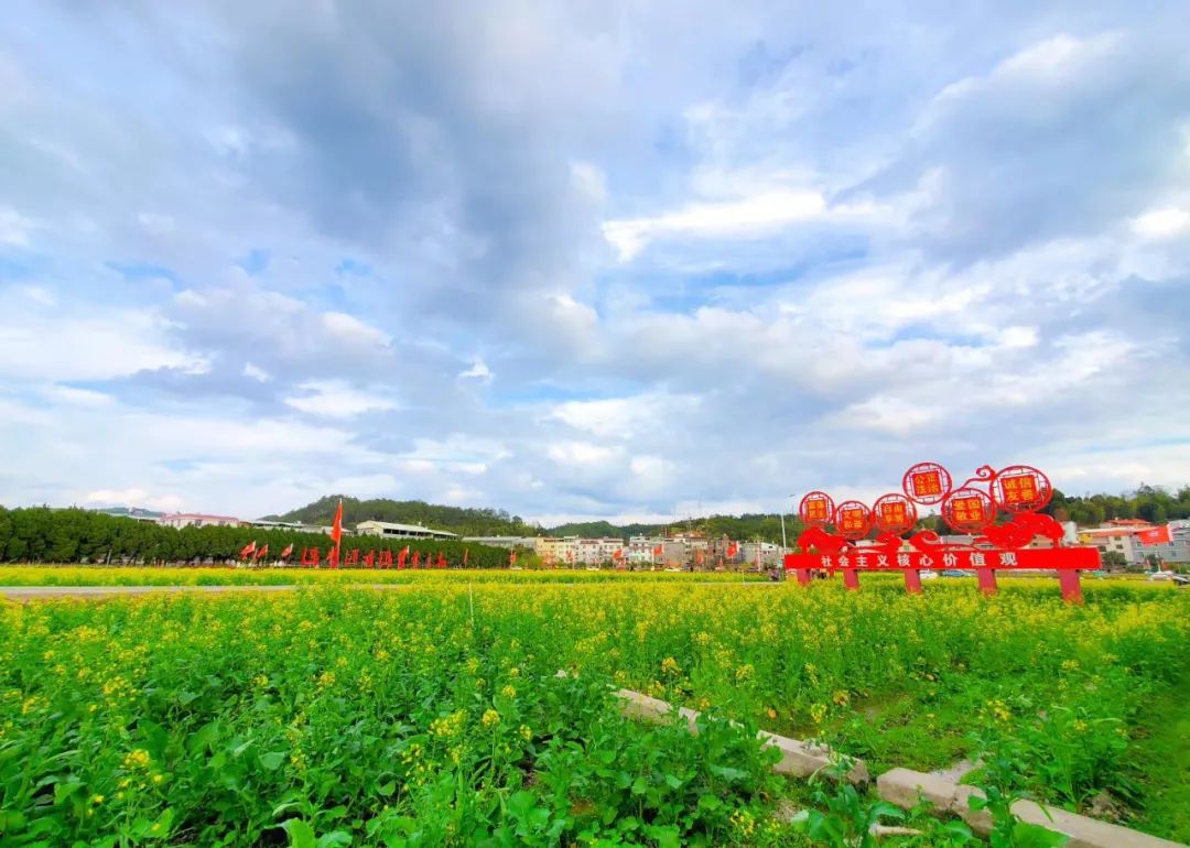 下才村打造的紅軍公田一景