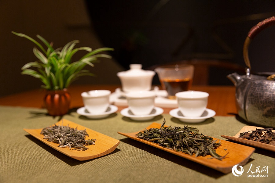 优越的生态环境和精湛制茶技艺，造就了政和茶叶独特的品质。人民网 焦艳摄