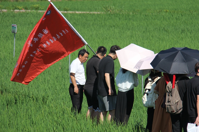 实践队在三明宁化县河龙乡河龙贡米文化园实地调研学习河龙贡米培育