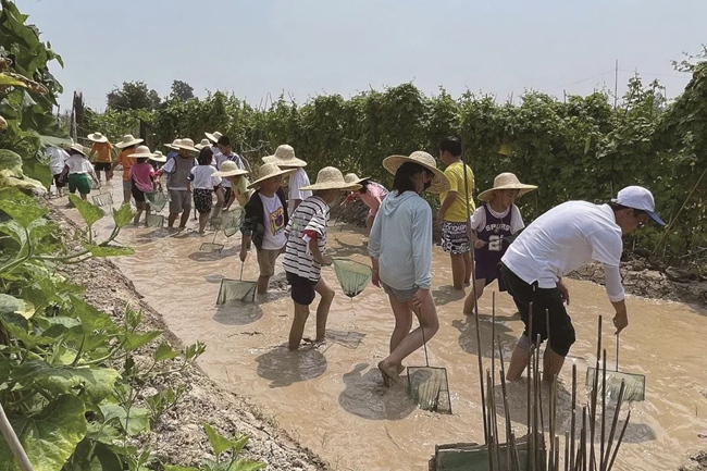 玉湖暑托班前往农场研学。石狮宣传部供图