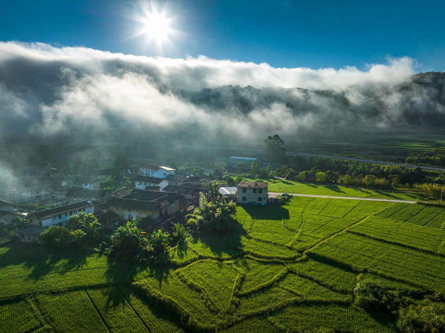 8月12日清晨，在南靖县，云雾缠绕下，土楼与一旁的农田构成一幅绝美的绿色生态画卷。冯木波摄