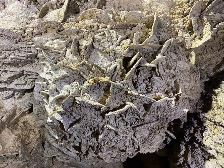 福建连城首次发现洞穴“海贝石”奇观。连城县冠豸山管委会供图