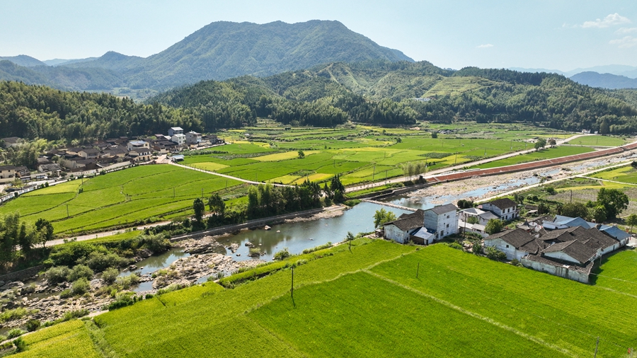 千畝梯田與遠處的村落青山構成一幅美麗的畫卷。邱汝泉攝