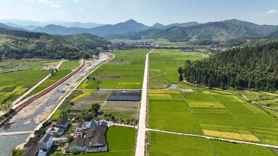 千畝梯田與遠處的村落青山構成一幅美麗的畫卷。邱汝泉攝