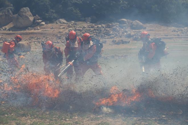 班組滅火行動中,消防員們相互配合扑滅明火。王治康攝