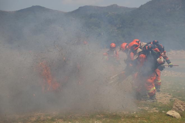 班組滅火行動中,消防員正在扑打火線。王治康攝