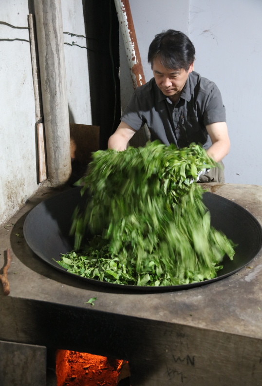 陈怀远参与普洱茶制作，图为炒茶环节。受访者供图