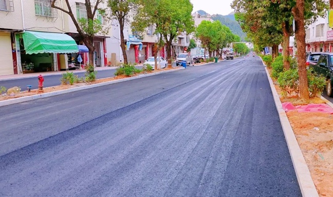 桃溪镇推动新型城镇化环境整治示范街区项目。武平县委组织部供图