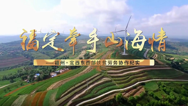 福定牵手山海情