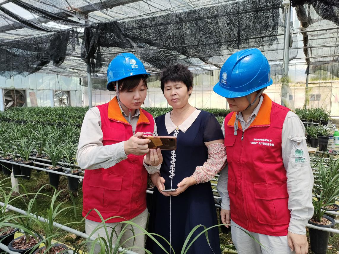 7月5日，国网福建电力“双满意”（南靖龙江韵）共产党员服务队走进兰花种植户宣传安全用电。谢榕斌摄