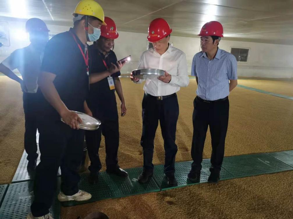 省发改委党组成员、一级巡视员,省粮储局党组书记、局长孙建平深入库区查看粮食储备情况。福建省粮储局供图