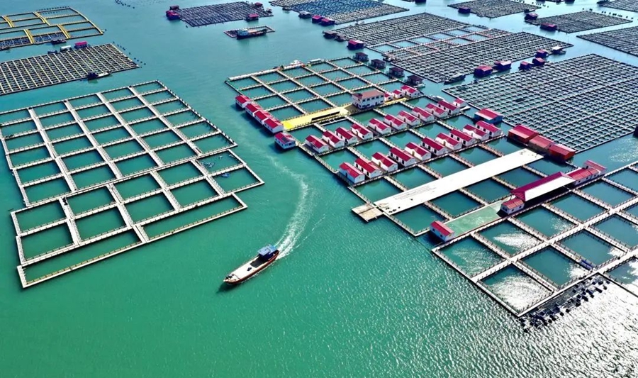 海上養殖。霞浦縣融媒體中心供圖