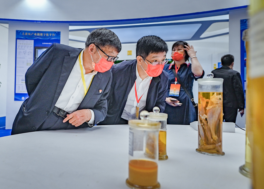 展會現場。主辦方供圖